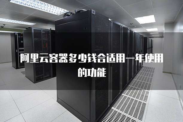 阿里云容器多少钱合适用一年使用的功能