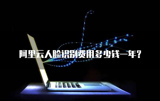 阿里云人脸识别费用多少钱一年？