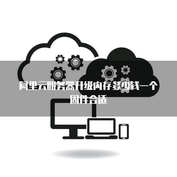阿里云服务器升级内存多少钱一个固件合适