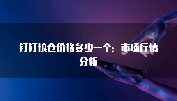 钉钉粮仓价格多少一个：市场行情分析