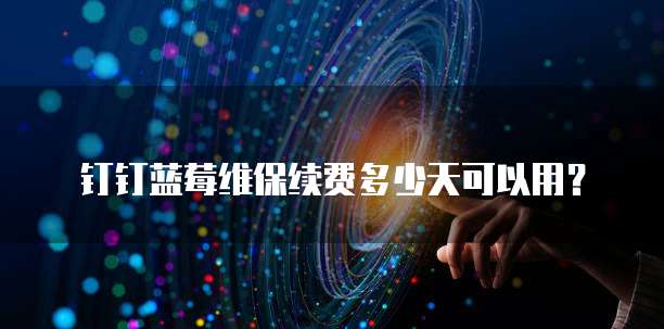 钉钉蓝莓维保续费多少天可以用？