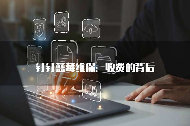 钉钉蓝莓维保：收费的背后