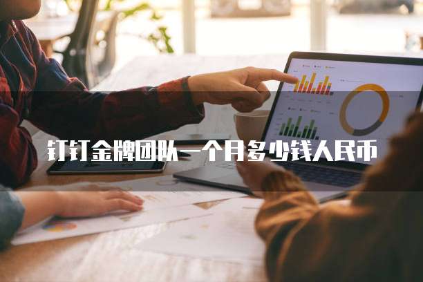 钉钉金牌团队一个月多少钱人民币