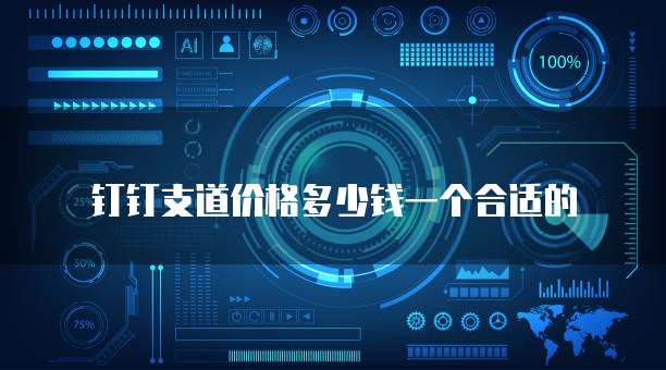 钉钉支道价格多少钱一个合适的