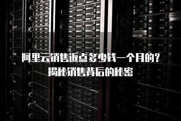阿里云销售返点多少钱一个月的?揭秘销售背后的秘密