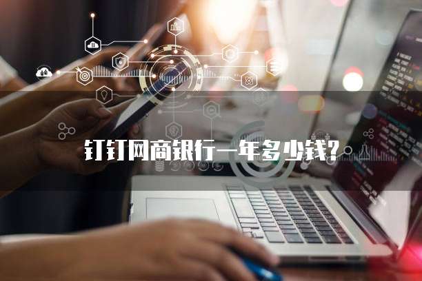 钉钉网商银行一年多少钱?