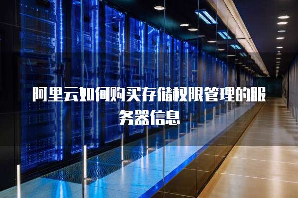 阿里云如何购买存储权限管理的服务器信息