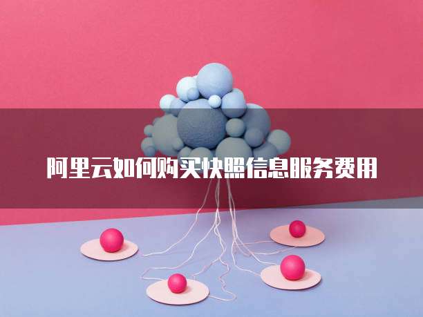 阿里云如何购买快照信息服务费用