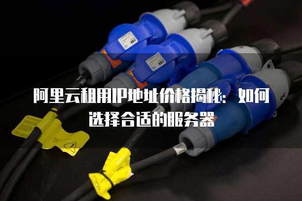 阿里云租用IP地址价格揭秘:如何选择合适的服务器
