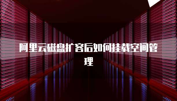 阿里云磁盘扩容后如何挂载空间管理