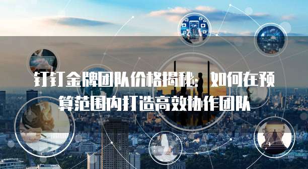 钉钉金牌团队价格揭秘：如何在预算范围内打造高效协作团队