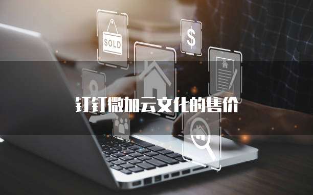 钉钉微加云文化的售价