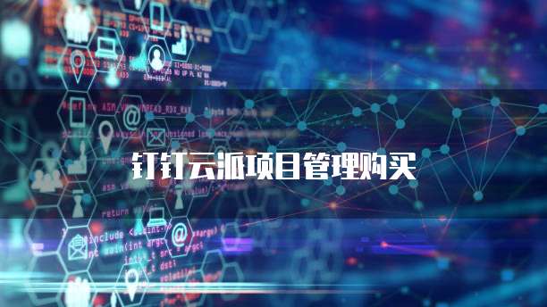 钉钉云派项目管理购买