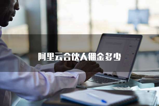 阿里云合伙人佣金多少