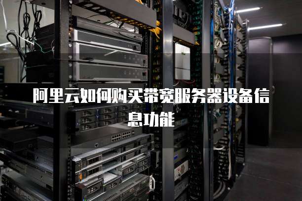 阿里云如何购买带宽服务器设备信息功能