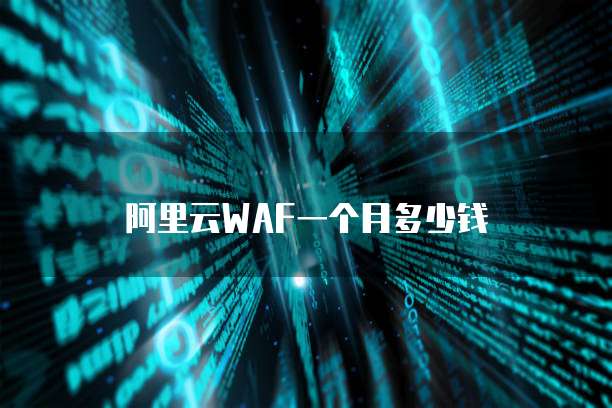 阿里云WAF一个月多少钱