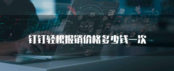 钉钉轻松报销价格多少钱一次