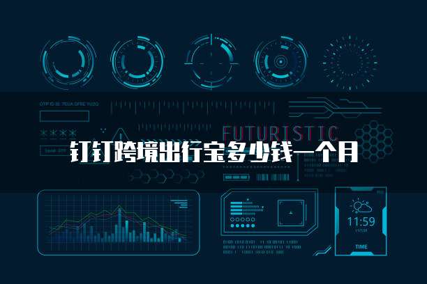 钉钉跨境出行宝多少钱一个月