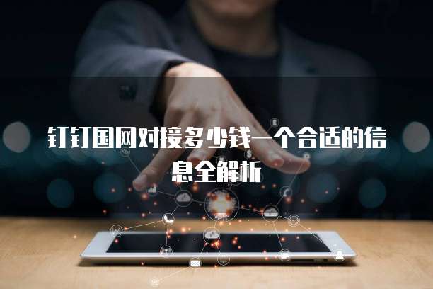 钉钉国网对接多少钱一个合适的信息全解析