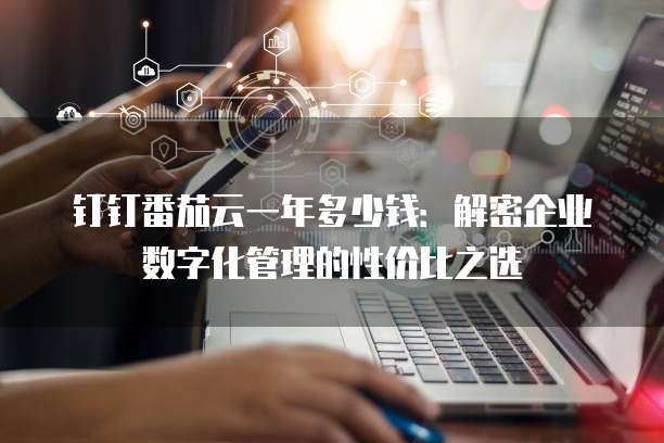 钉钉番茄云一年多少钱:解密企业数字化管理的性价比之选