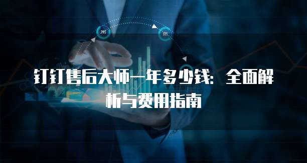 钉钉售后大师一年多少钱:全面解析与费用指南
