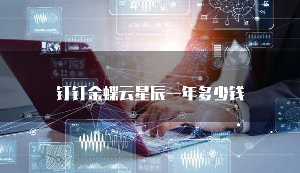 钉钉金蝶云星辰一年多少钱