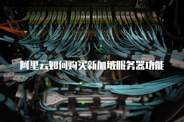 阿里云如何购买新加坡服务器功能