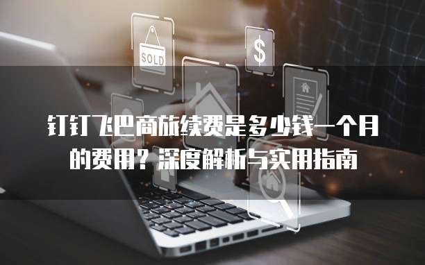 钉钉飞巴商旅续费是多少钱一个月的费用?深度解析与实用指南