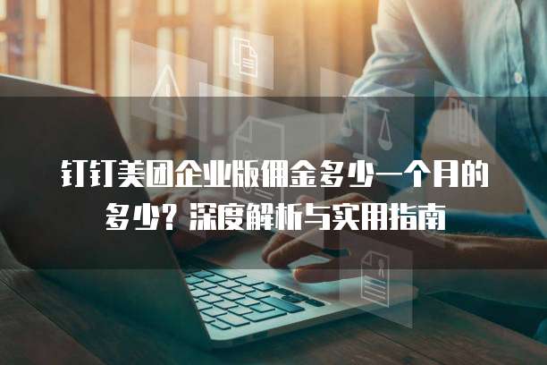 钉钉美团企业版佣金多少一个月的多少?深度解析与实用指南