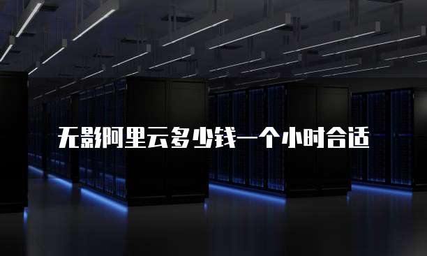 无影阿里云多少钱一个小时合适
