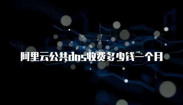 阿里云公共dns收费多少钱一个月