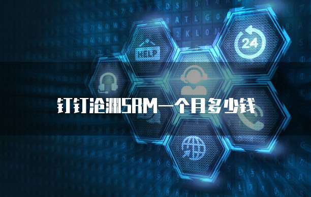 钉钉沧渊SRM一个月多少钱