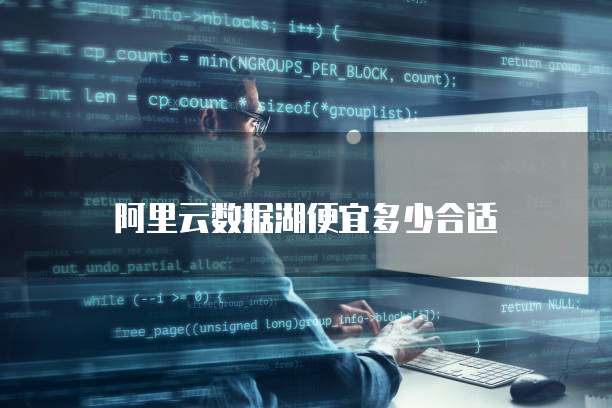 阿里云数据湖便宜多少合适