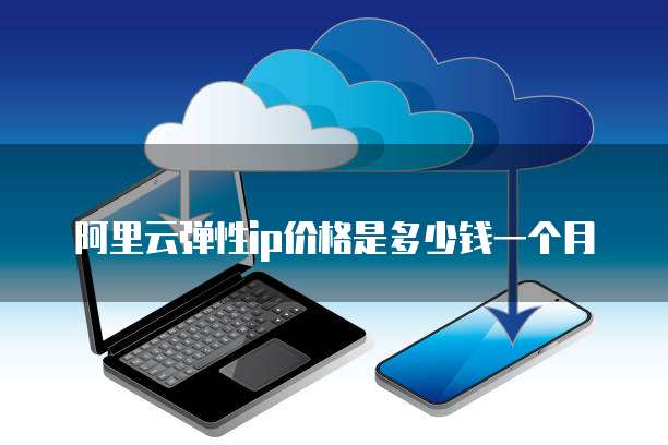 阿里云弹性ip价格是多少钱一个月