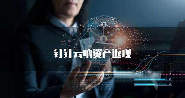 钉钉云呐资产返现