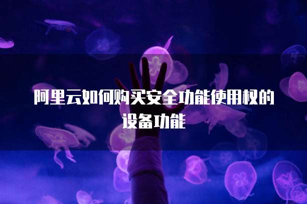 阿里云如何购买安全功能使用权的设备功能