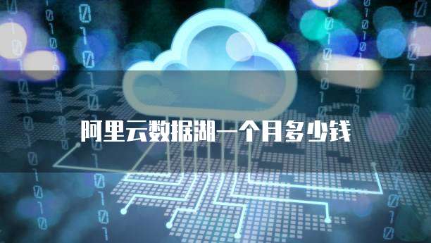 阿里云数据湖一个月多少钱