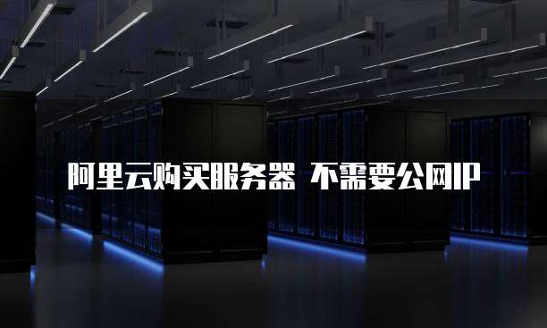 阿里云购买服务器 不需要公网IP