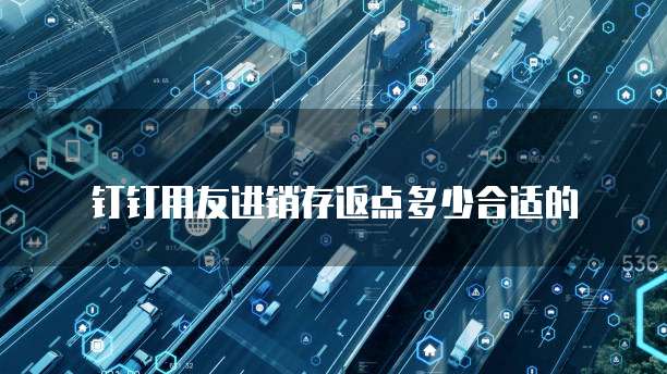 钉钉用友进销存返点多少合适的