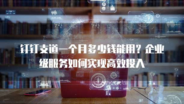 钉钉支道一个月多少钱能用?企业级服务如何实现高效投入