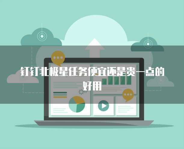 钉钉北极星任务便宜还是贵一点的好用
