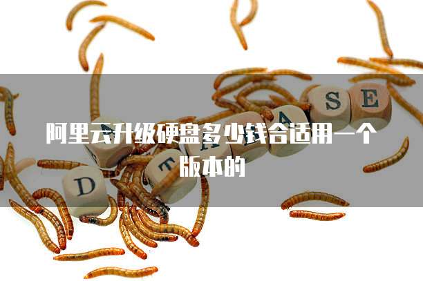 阿里云升级硬盘多少钱合适用一个版本的
