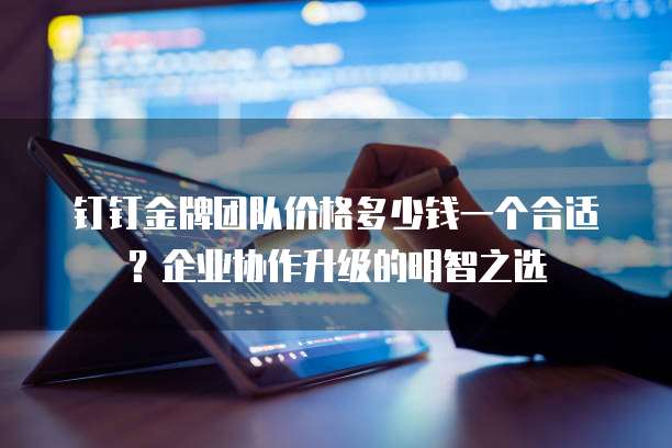 钉钉金牌团队价格多少钱一个合适?企业协作升级的明智之选