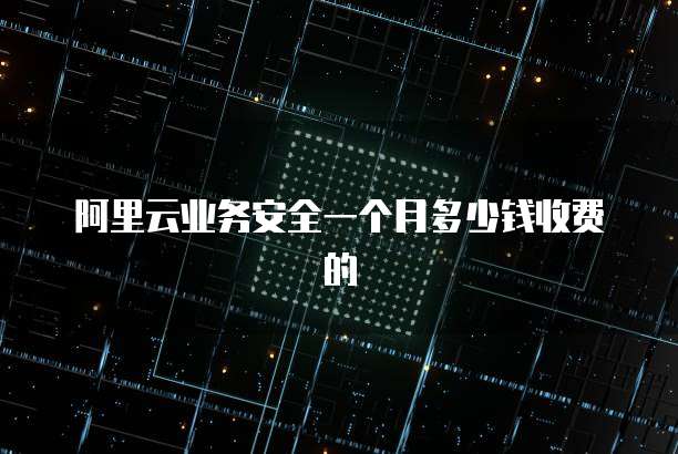 阿里云业务安全一个月多少钱收费的