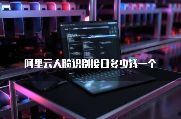 阿里云人脸识别接口多少钱一个