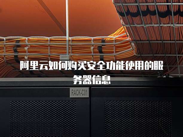 阿里云如何购买安全功能使用的服务器信息
