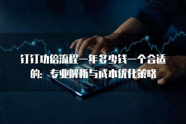钉钉功倍流程一年多少钱一个合适的:专业解析与成本优化策略