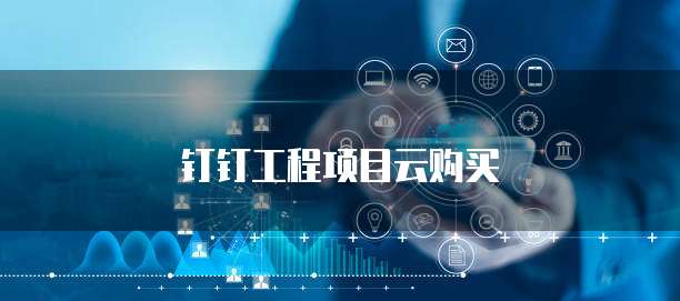 钉钉工程项目云购买