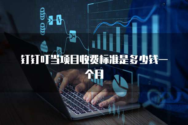 钉钉叮当项目收费标准是多少钱一个月
