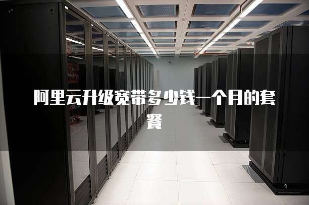 阿里云升级宽带多少钱一个月的套餐